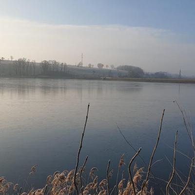 Lac gele 19 janvier 1