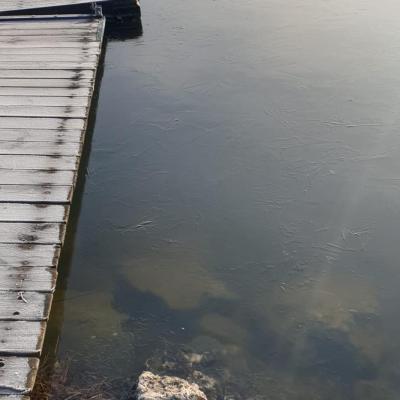Lac gele 19 janvier 2